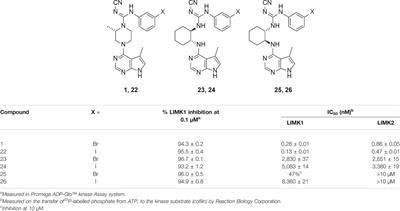 The Nature of Diamino Linker and Halogen Bonding Define Selectivity of Pyrrolopyrimidine-Based LIMK1 Inhibitors